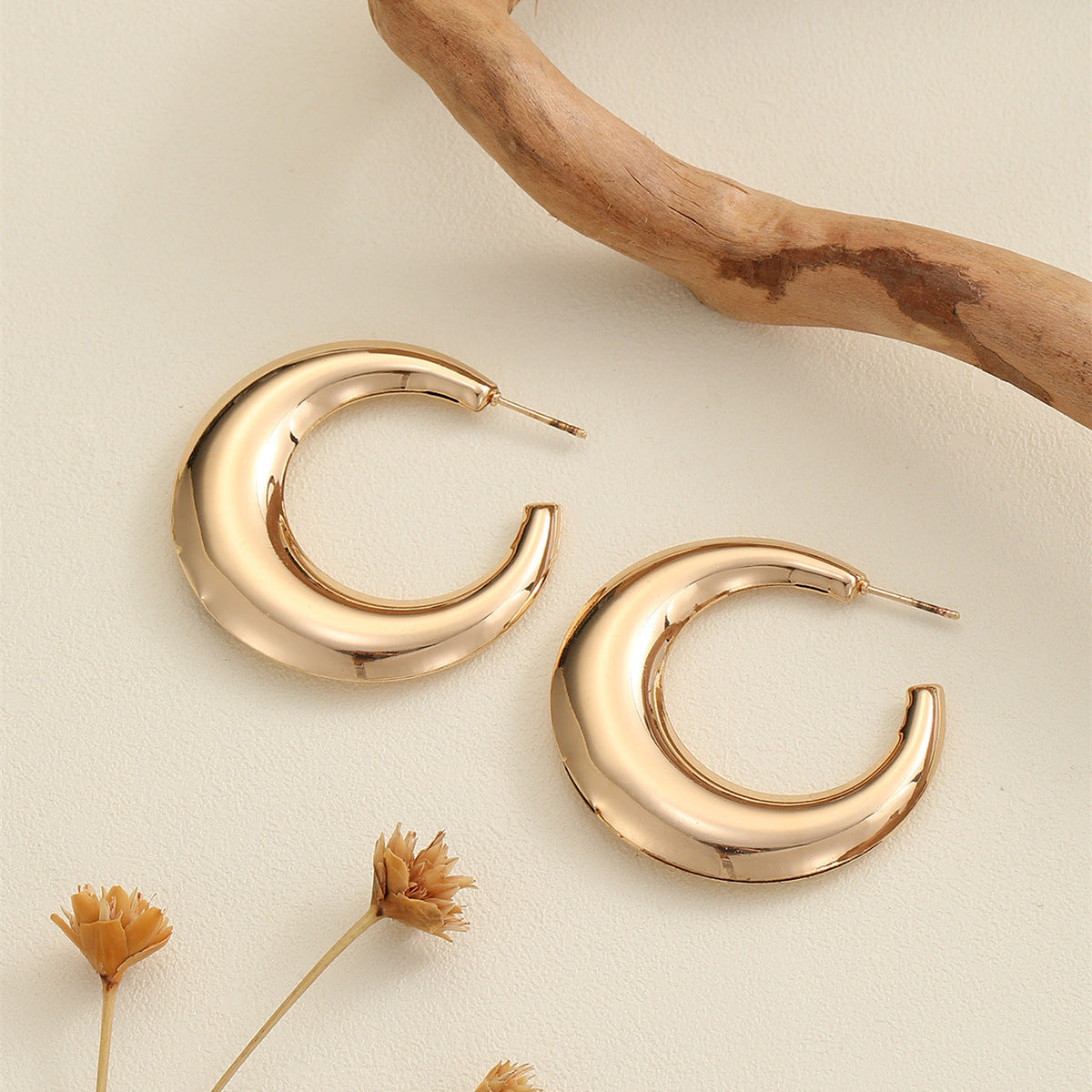 Women's Hanging Earrings in Modern Crescent Design Symbol Fashion