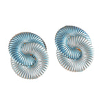 Women hair clips in modern shell design Symbol Fashion