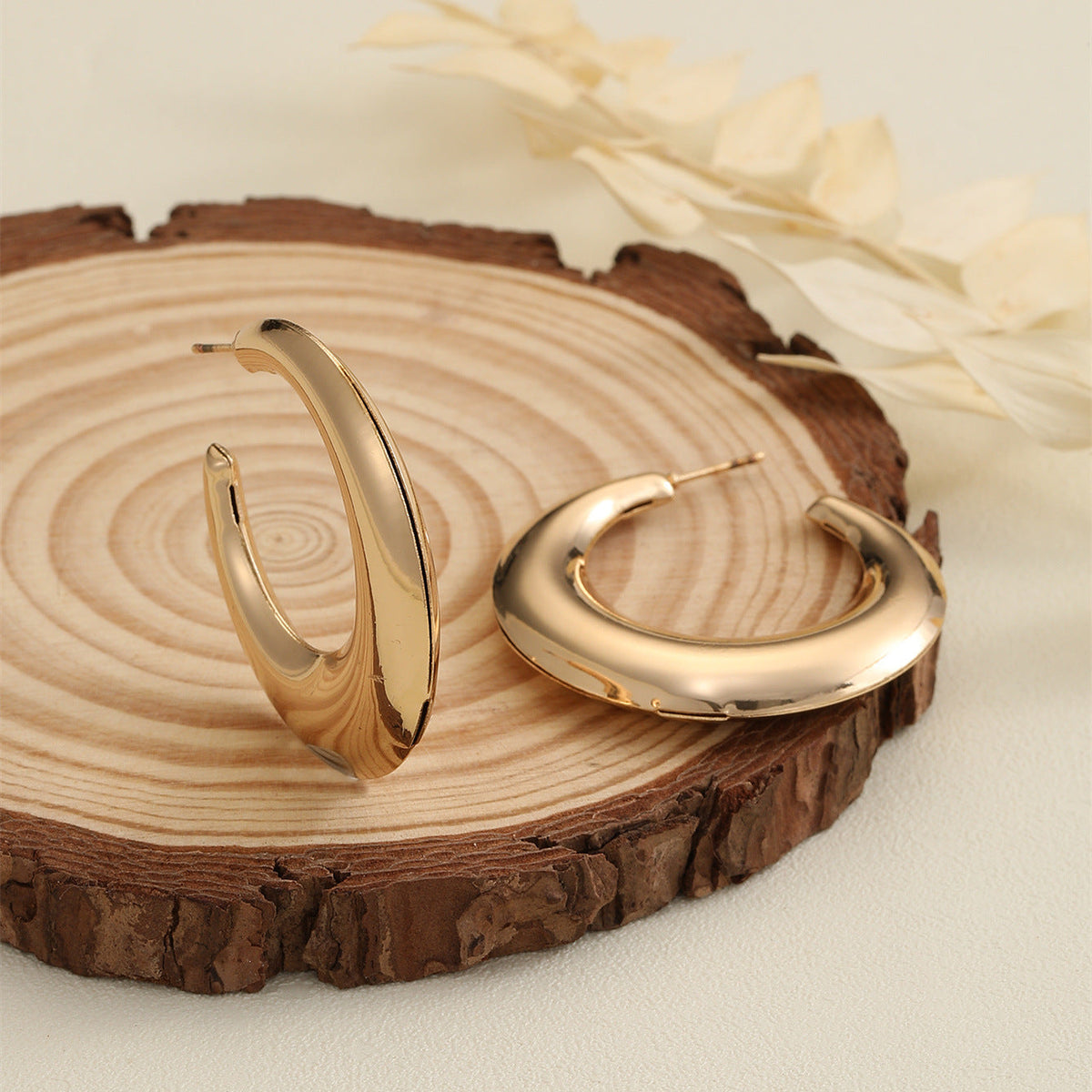 Women's Hanging Earrings in Modern Crescent Design Symbol Fashion